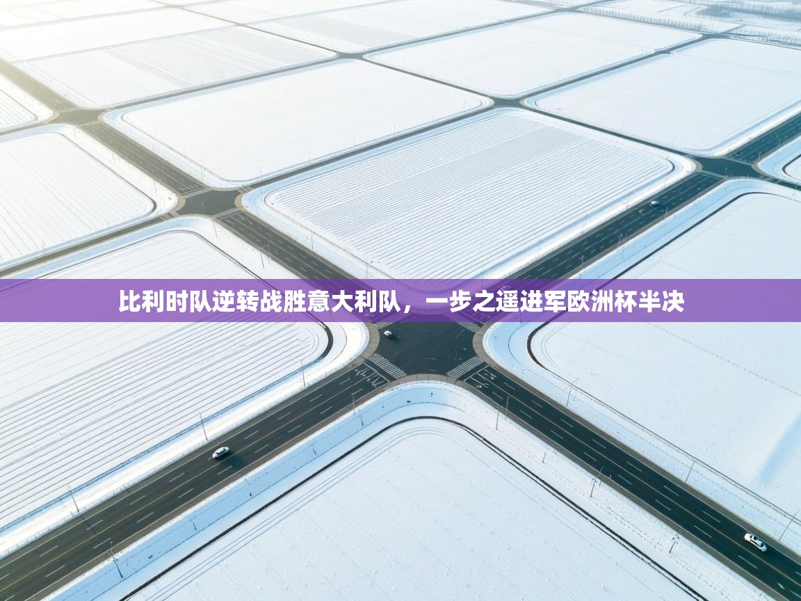 比利时队逆转战胜意大利队，一步之遥进军欧洲杯半决