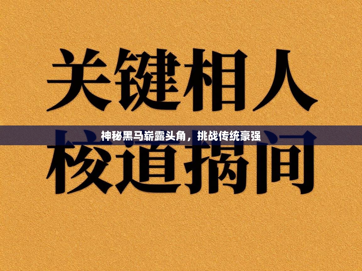 神秘黑马崭露头角，挑战传统豪强  第2张