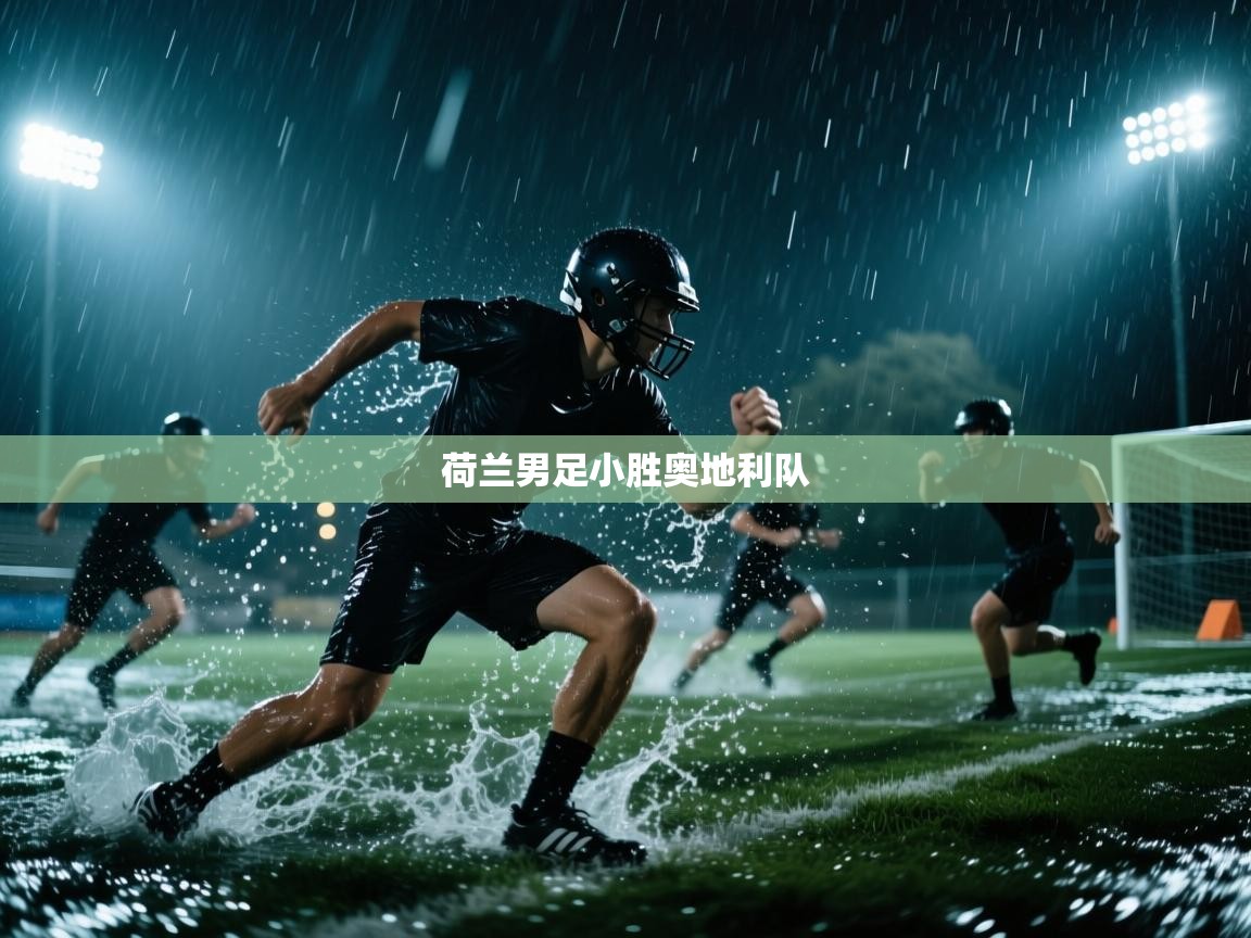 荷兰男足小胜奥地利队 第2张